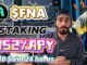 Como lucrar no mercado bullish: FNA coin Staking Fintech AI