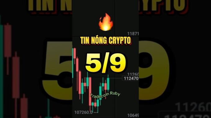 Crypto News 5/9 🔥 Bitcoin – PEPE – LBRETT #tinnongcrypto #bitcoin #altcoin #tradecoinruby