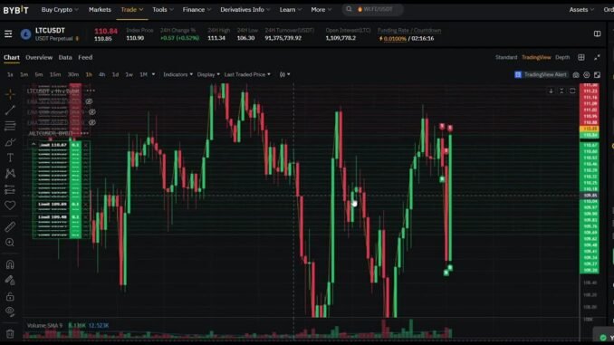 Crypto Trading Bot  Litcoin Bitcoin Ethereum Solana Bybit Binance OKX with API