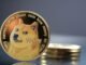Dogecoin (DOGE) Rally Lacks Retail Mania