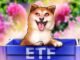 Dogecoin ETF May Launch In US Next Week: Analyst