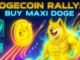 ETF Hype & Institutional Buying Fuel DOGE Rally – How Maxi Doge Is Poised to Ride the Wave