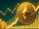 Ethereum Mid-Sized Whales See Peak Unrealized Gains: Profit-Taking Risk Rises