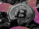 Germany ‘Failed to Seize’ $5.6B Bitcoin Stash Held by Movie2K Piracy Website: Arkham