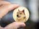 Dogecoin