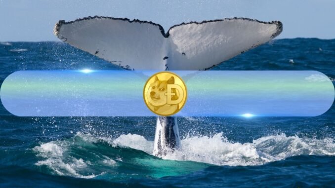 How Are DOGE Whales Reacting to Possible Dogecoin ETF? Santiment Weighs In