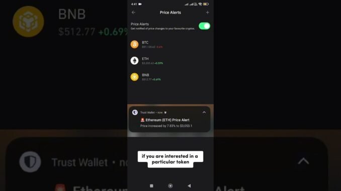 How to set up Trust Wallet for Beginners } Crypto Wallet