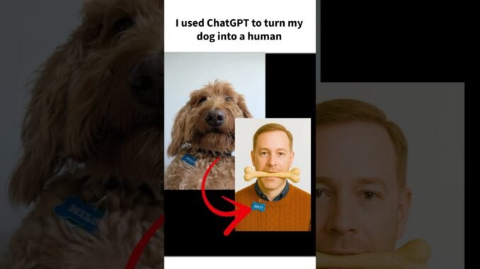 I asked Chat GPT to turn my fluffy dog into a human #chatgpt #dog #puppy #shorts #ai