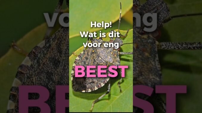 Insekten determineren met ChatGPT