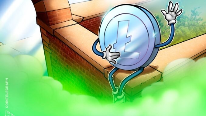 Litecoin Feuds With Crypto Influencer Over Price And Hairline