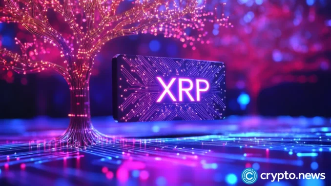 MSP Miner launches new cloud mining contract for XRP holders