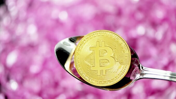 Metaplanet Sets Up US Subsidiary To Strengthen Bitcoin Income Business