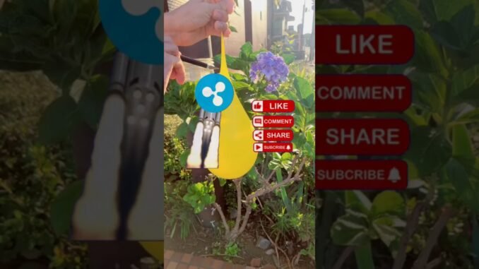 Mr. ODL frames XRP Ledger on stage #ISO20022 #Web3