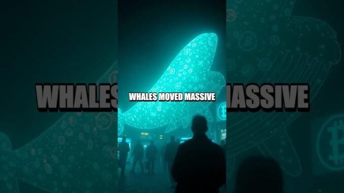 Next 100x Signal Hidden Now