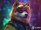 Shiba Inu price continued rising