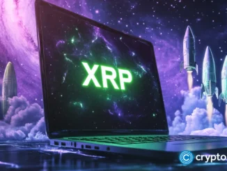 SitonMining helps XRP holders enter a new “mining + income” model