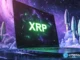 SitonMining helps XRP holders enter a new “mining + income” model