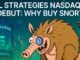 SOL Strategies to List on Nasdaq: Solana Outlook and Why You Can’t Miss $SNORT