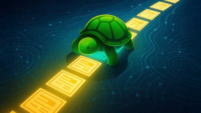 Turtle bets liquidity not vanity will rule crypto with new leaderboard system