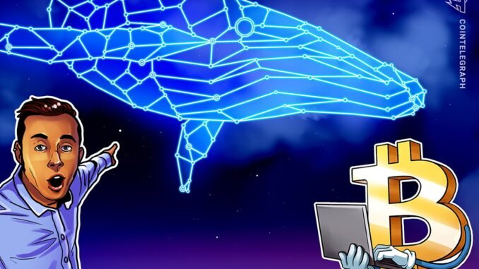 Whale awakens after 12 years, transfers 1,000 BTC ahead of FOMC decision