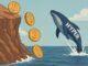 Whales Buy $117K in Two Days