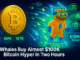 Whales Buy Almost $100K Bitcoin Hyper as Presale Surges Past $18M