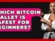 Which Bitcoin Wallet Is Safest For Beginners? - CryptoBasics360.com
