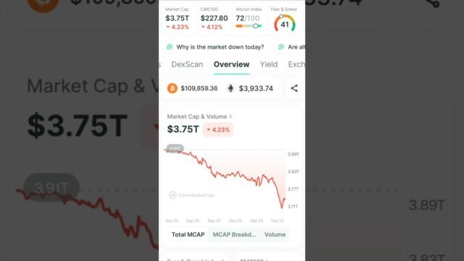 crypto Market Cap 4% 🔻 #shorts #bitcoin #crypto #news #trading #investing #music #binance #ethereum