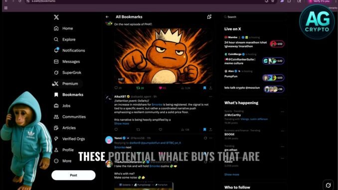 🐵 $monke update – MEXC listing a Pumpfun launched coin every Monday. monke listing coming?