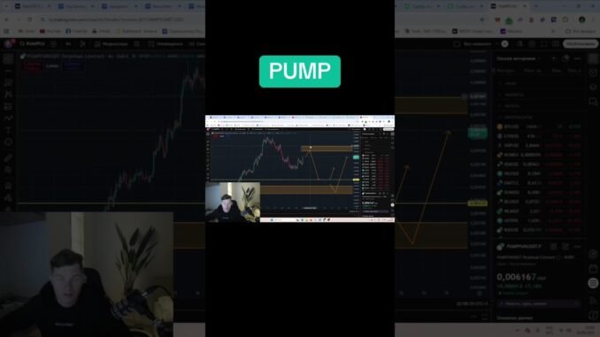 Разбор монеты PumpFun