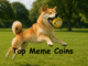 Gemini AI's Dogecoin Price Prediction — Why Maxi Doge Could Be the Next Top Meme Coin