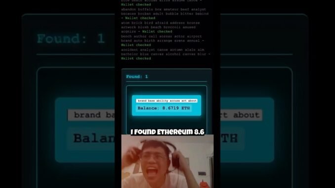 AI Crypto Wallet Brute Force Software 💀 🤑 #bruteforce #crypto #recovery
