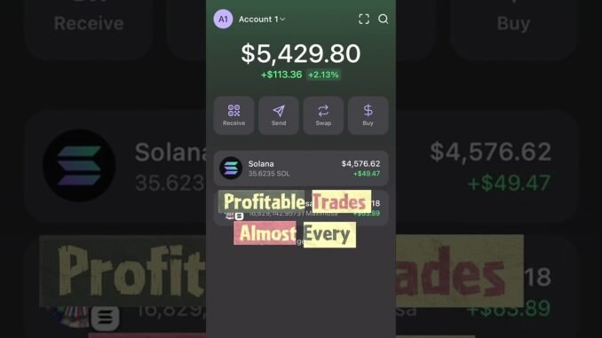 🤖 AUTOMATED MEME COIN TRADING BOT & AI CRYPTO TRADING 🚀