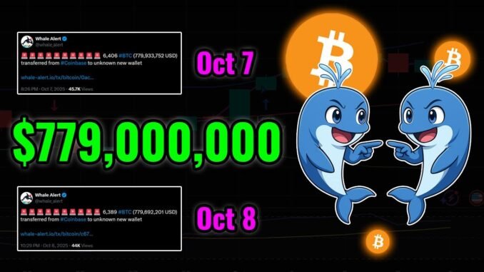 Another $779 Million Bitcoin Transfer?! Whale Alert