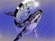 Are Bitcoin Whales Preparing to Sell After Record Highs?