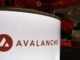 Avalanche Treasury Co. Coming With Foundation Support via $675 Million SPAC Deal