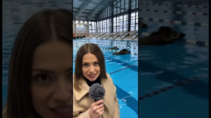 Basen Góra Kalwaria #ai #news #sora2 #funny #shorts