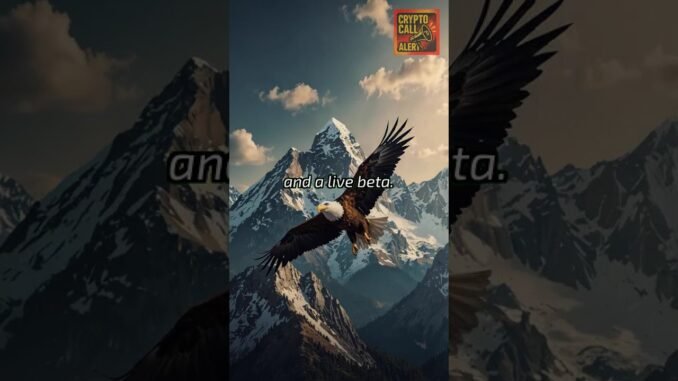 Best Crypto To Buy Now: Presale Dominates While XRP and SOL Dip