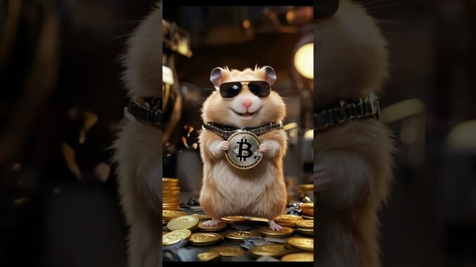 Bit Coin Hamster #hamster #cute #cat #funny #pets #bitcoin #bitcoins #rat #hamsters