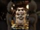 Bit Coin Hamster #hamster #cute #cat #funny #pets #bitcoin #bitcoins #rat #hamsters