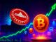 Bitcoin Rally Puts 99% of Holders in Profit