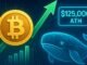 Bitcoin Whale Balances Stabilize As Price Hits $125K ATH: Signs of Re-Accumulation?