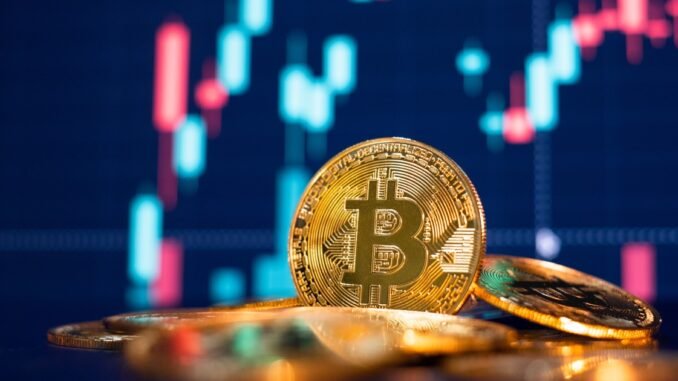 Bitcoin Whales Double Down as Institutional Confidence Soars