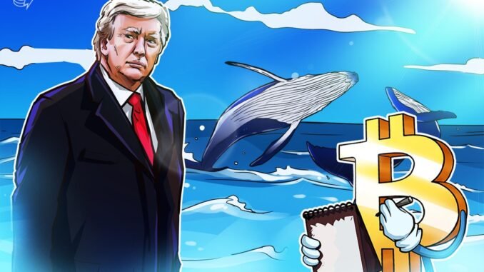 Bitcoin Whales Go Short BTC Into New Trump White House Bitcoin Whales Go Short BTC Into New Trump White House Address