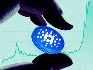 Cardano Whale Holdings Hit 5-Month High Despite Price Dip