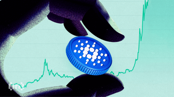 Cardano Whale Holdings Hit 5-Month High Despite Price Dip Cardano Whale Holdings Hit 5-Month High Despite Price Dip