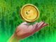 DOGE Price Eyes 160% Rally to $0.65 as RSI Sends Bullish Signal