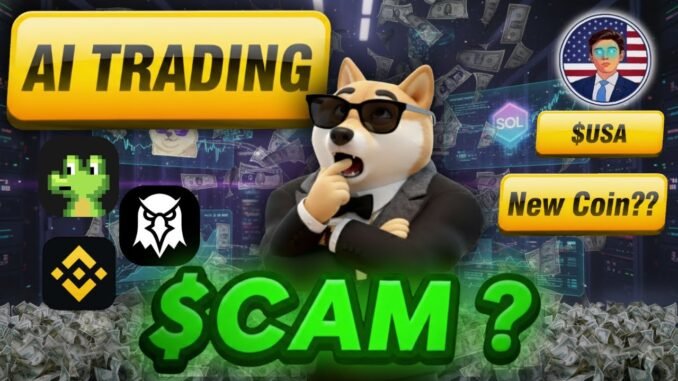 EXPOSED: AI Trading Platforms | Binance | Pump.fun | GMGN.ai | Raydium | How To Launch MEME COINS ??