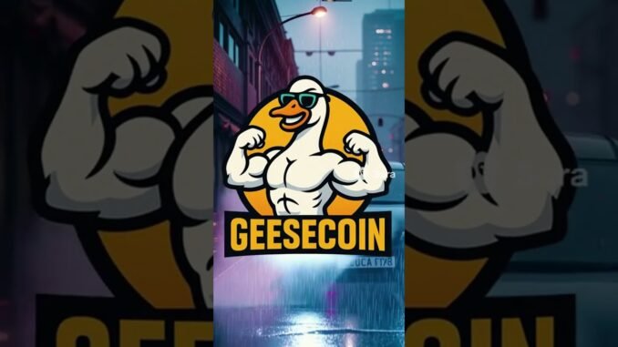 Geese coin on Pumpfun