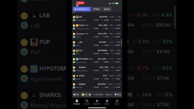 How to navigate dexscreener easy guide